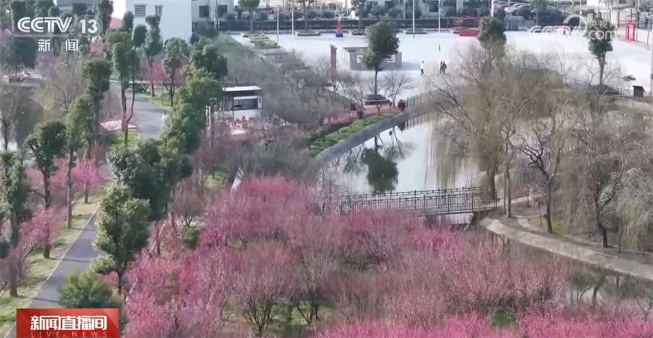 三亿体育：美食、美景、“世间人烟” 春暖花开万物苏醒 踏青赏景正其时(图2)