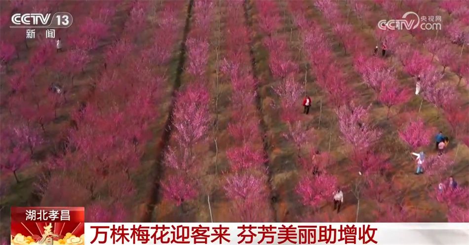 三亿体育：美食、美景、“世间人烟” 春暖花开万物苏醒 踏青赏景正其时(图3)