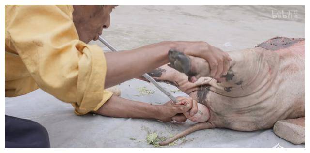 三亿体育官网：探秘奇食记：秘密食谱揭秘美食背后事实揭开！(图6)