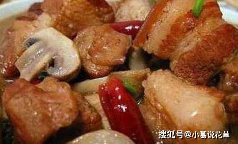 三亿体育app：20款美食倾情保举养分高滋味好每天做几道饭菜不沉样(图14)