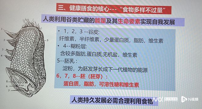 如何做到食物多样不过量？营养专家分享如何“吃出健康”(图7)